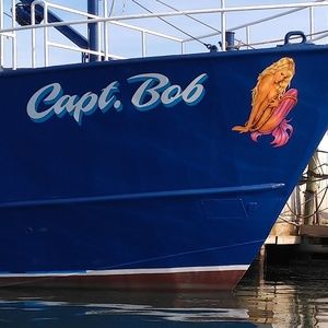 Meet your Posher, Robert